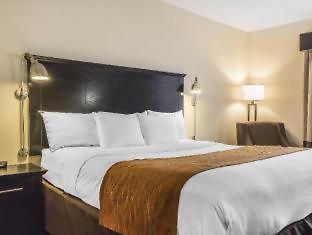 Comfort & Laguardia Airport Hotel 4*