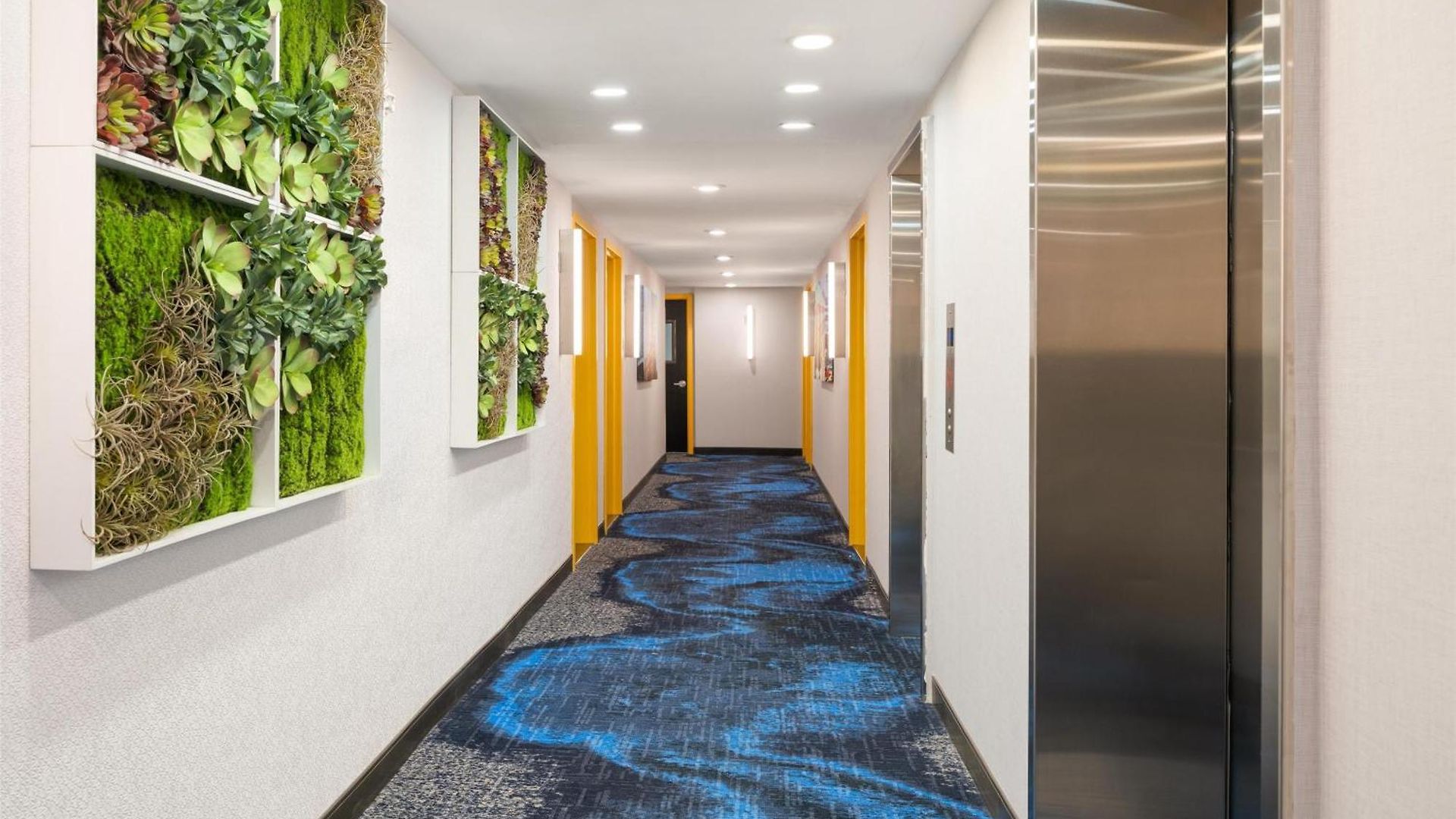 Hotel Glo Western Bronx Nyc New York