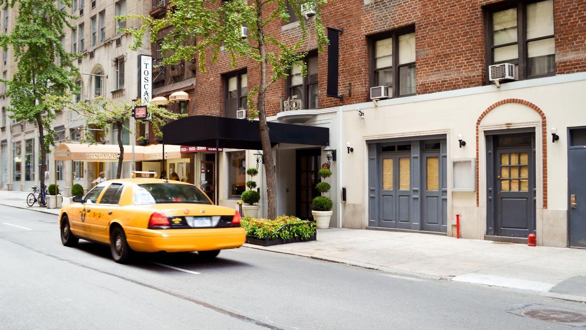 The Bayard New York