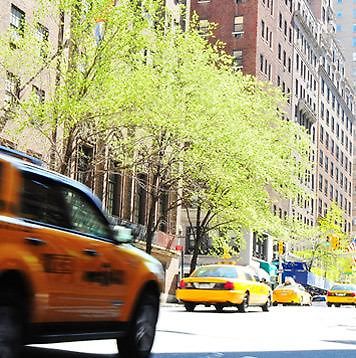Lexington Plaza 4*