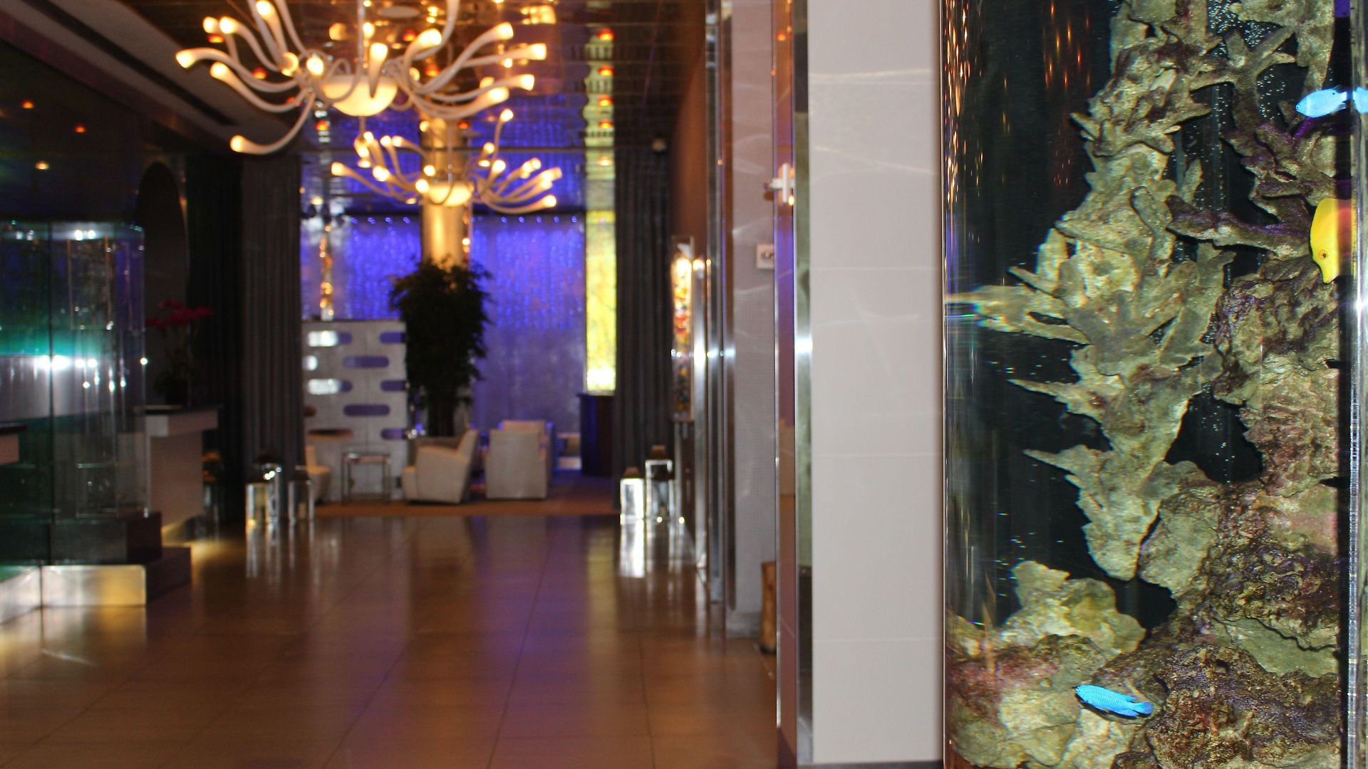 Oyo Times Square Hotel
