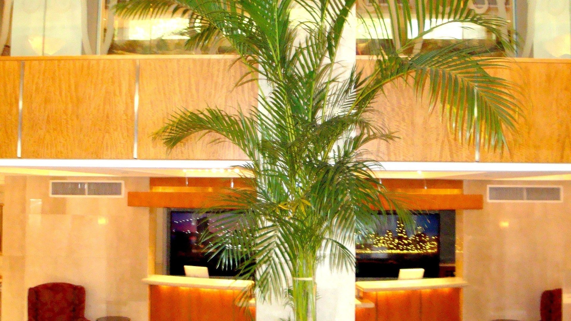 San Carlos 4* New York