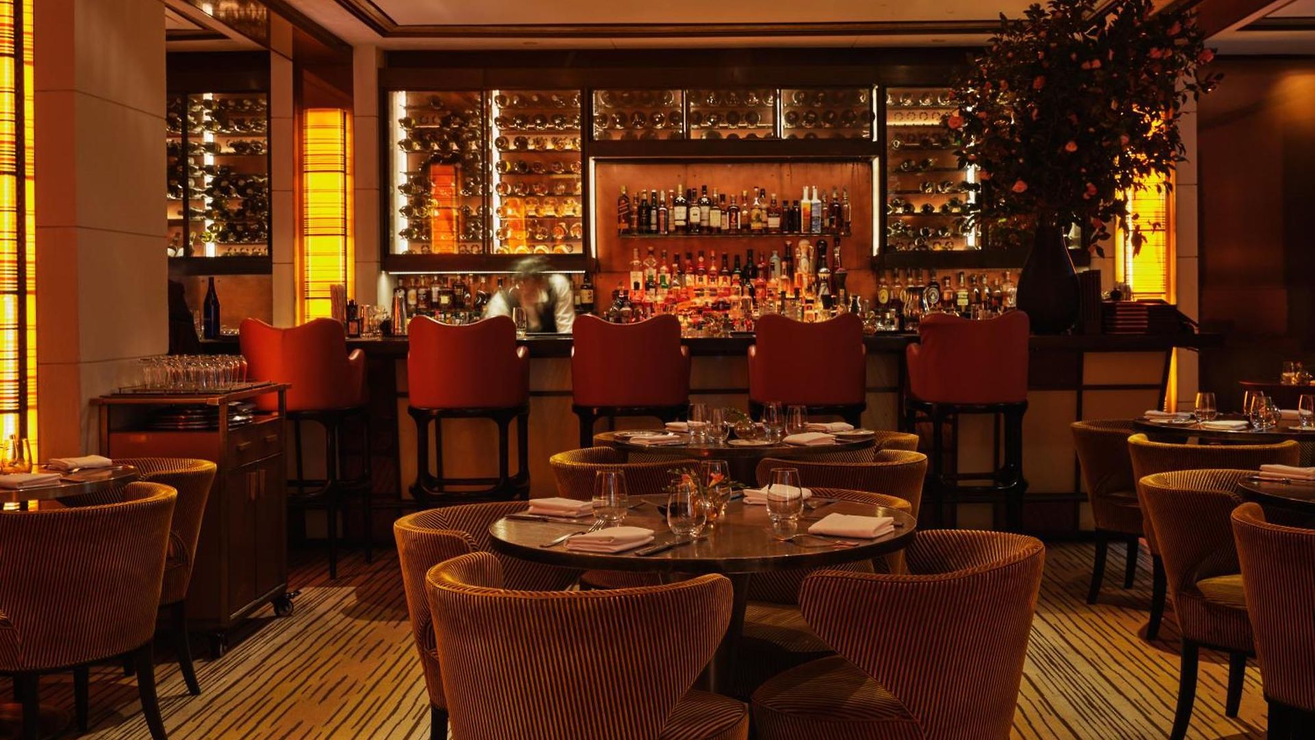 The Hotel