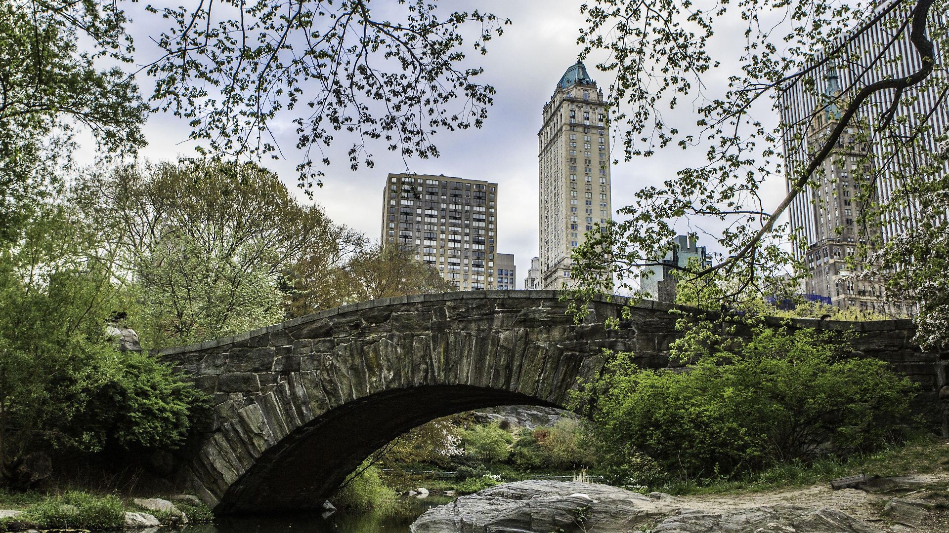 The Pierre, A Taj Hotel, Hotel New York