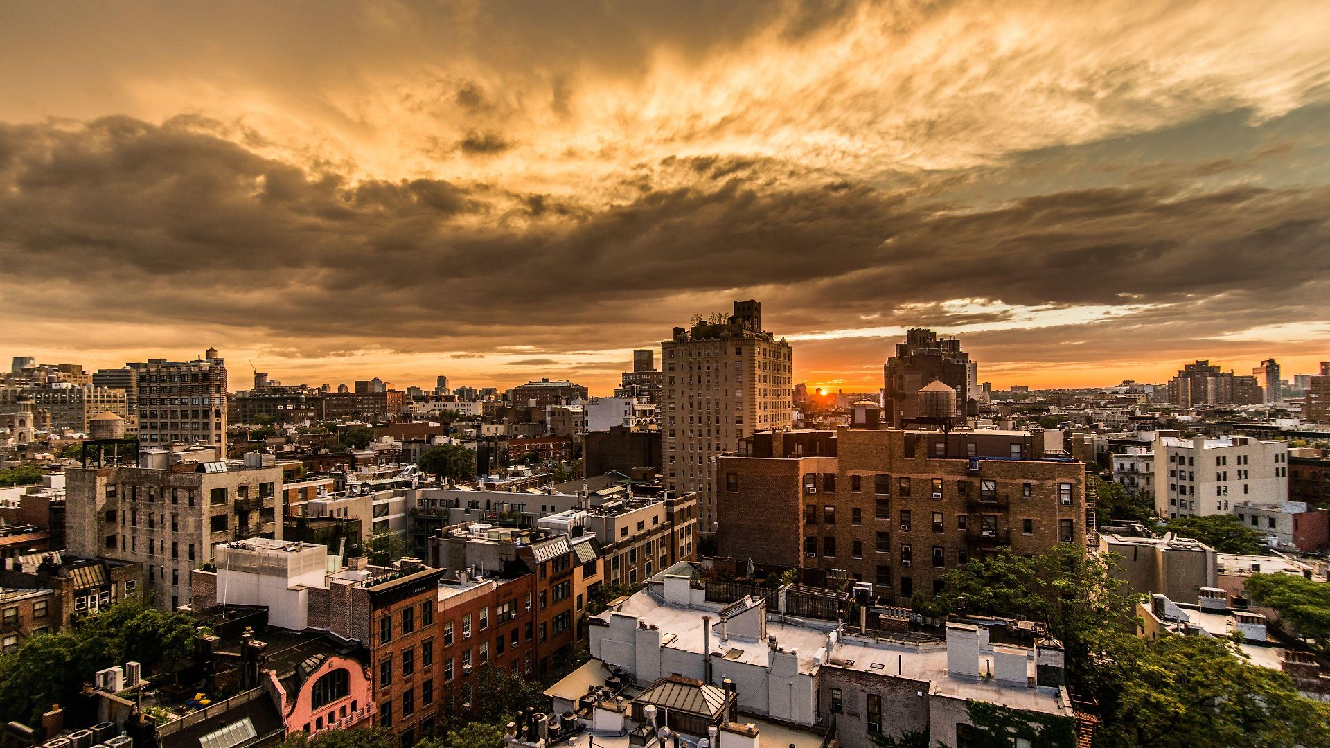 Washington Square 4*