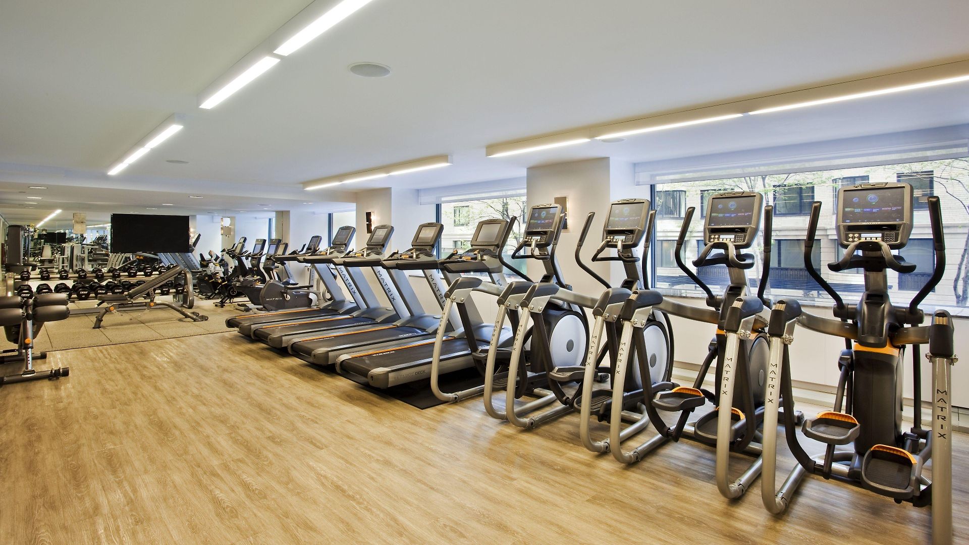 Hotel Loews Regency 5*