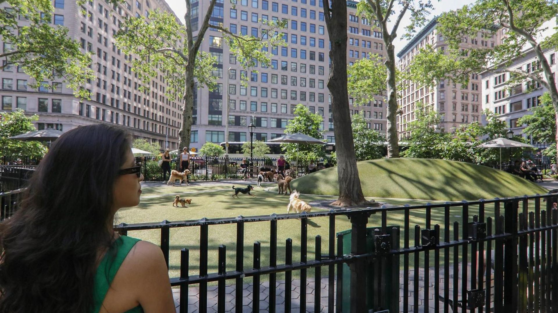 The Evelyn Nomad Hotel