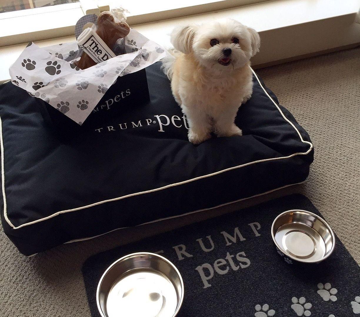 Hotel Trump International