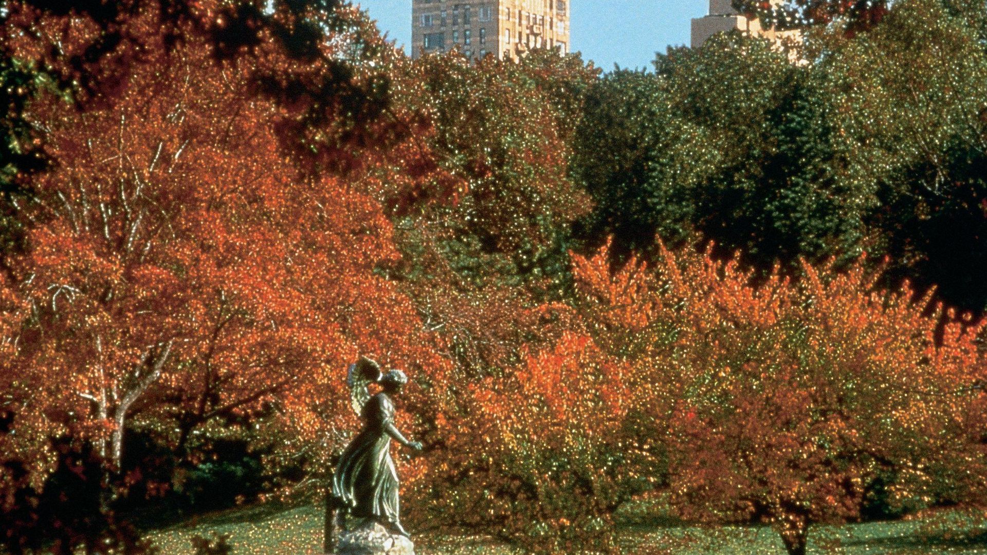 The Carlyle, A Rosewood 5* New York