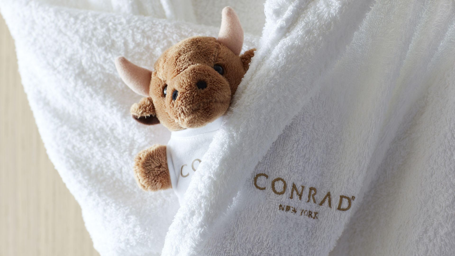 Conrad Downtown 5*