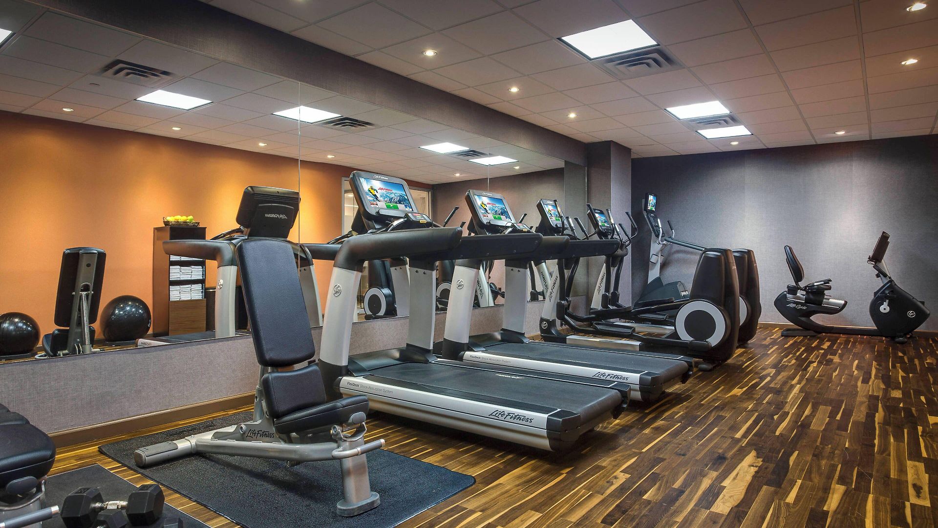Hotel Courtyard By Marriott Jfk Airport 3*