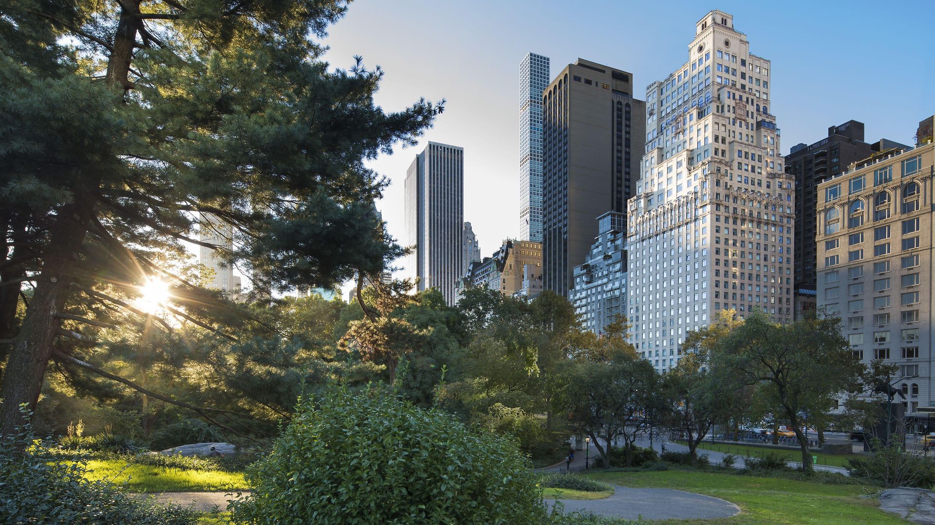 Hotel The Ritz-carlton New York, Park New York