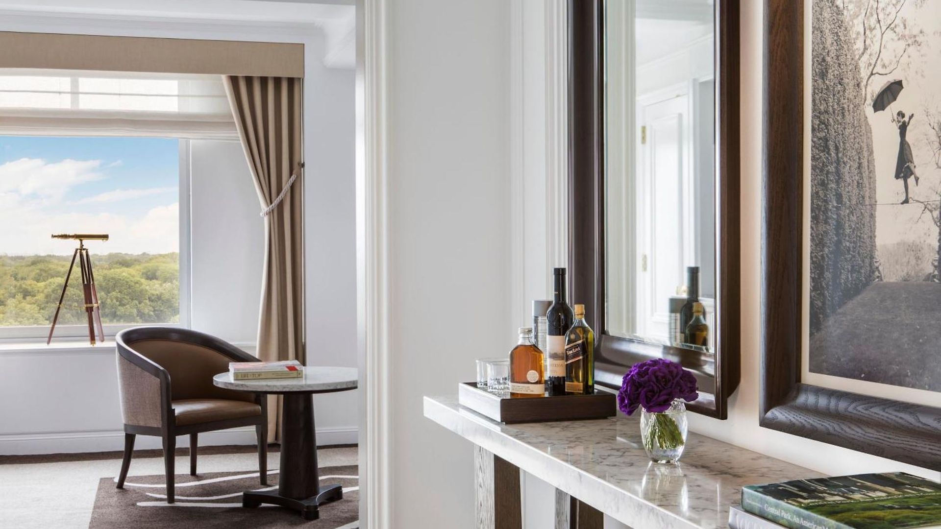 Hotel The Ritz-carlton New York, Park 5*
