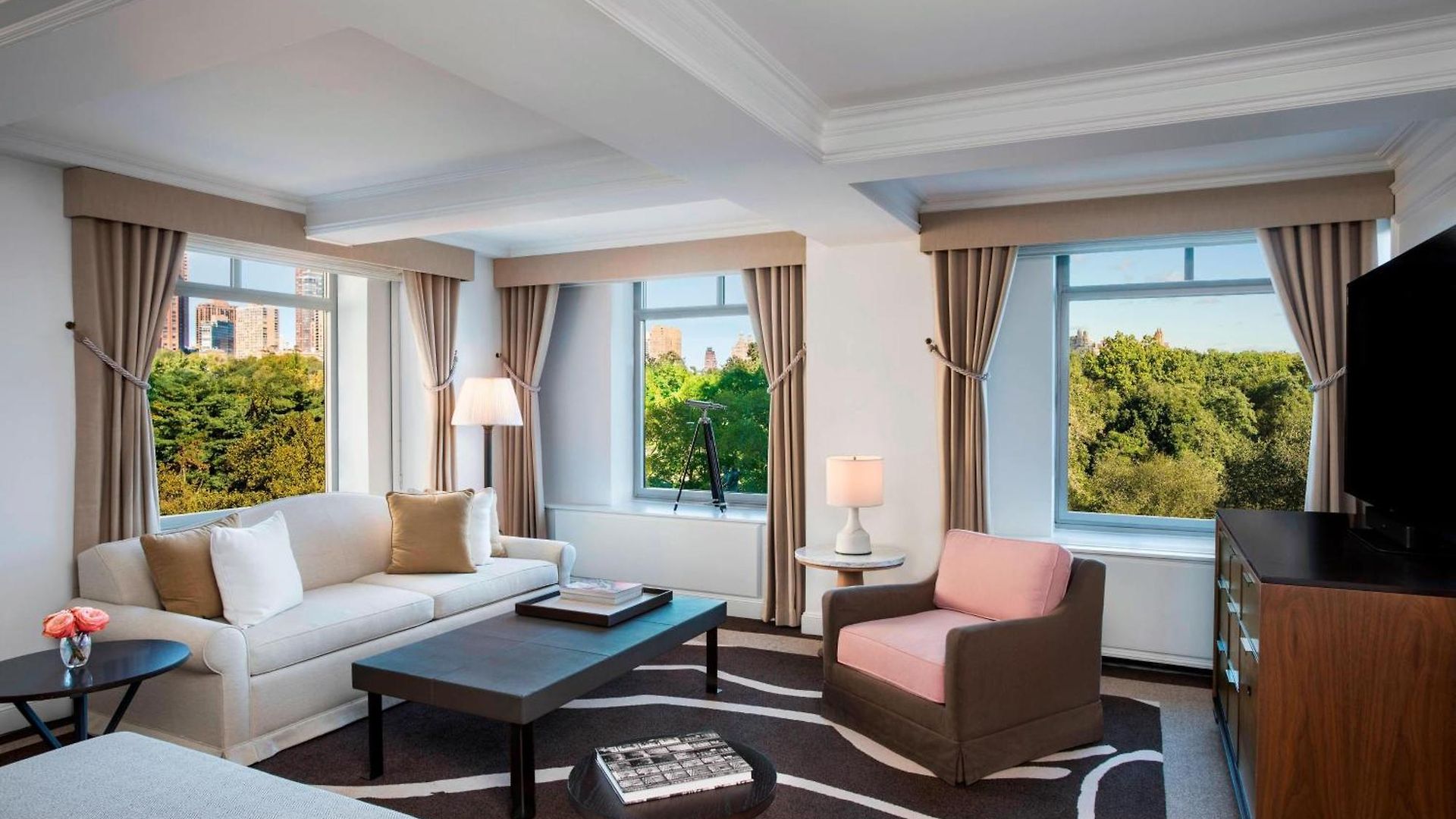 The Ritz-carlton New York, Park Hotel
