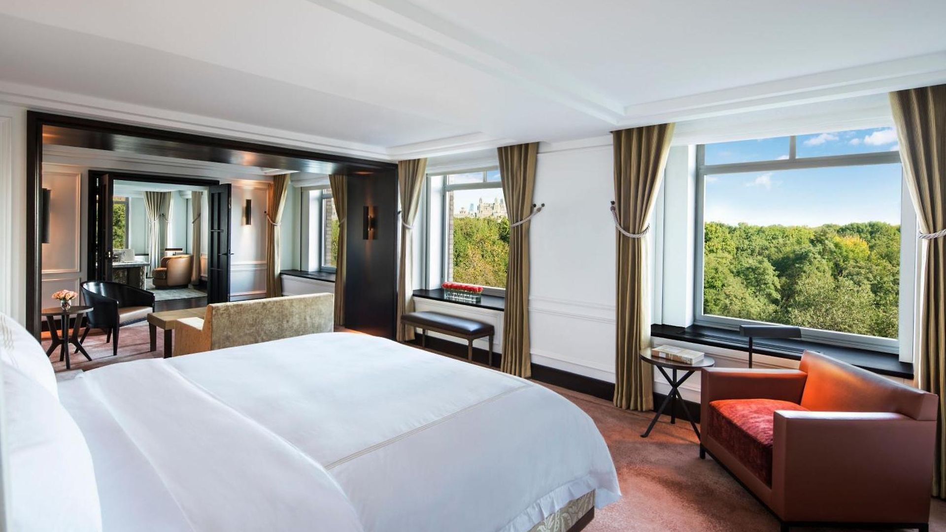 The Ritz-carlton New York, Park 5* New York