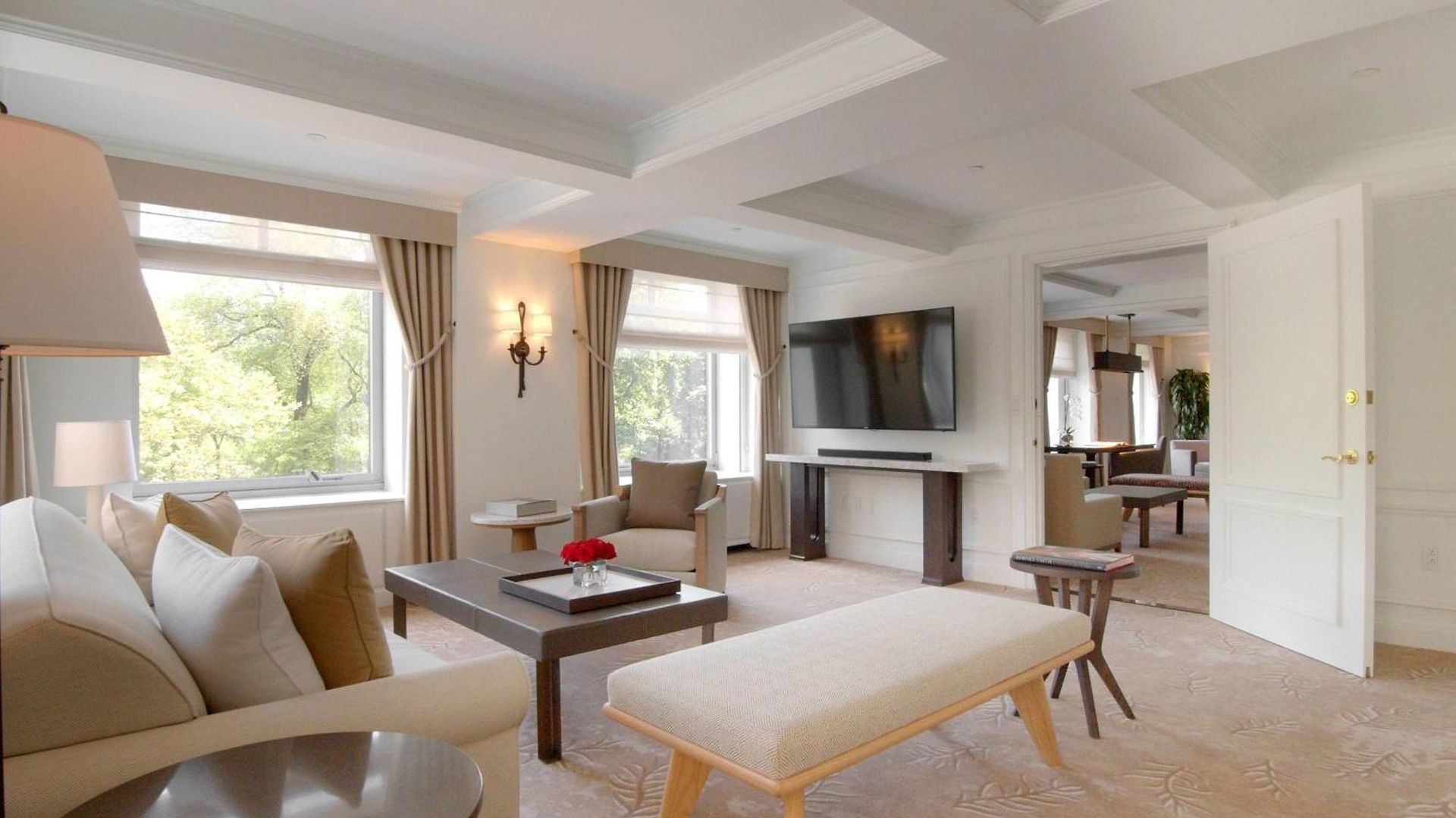 Hotel The Ritz-carlton New York, Park