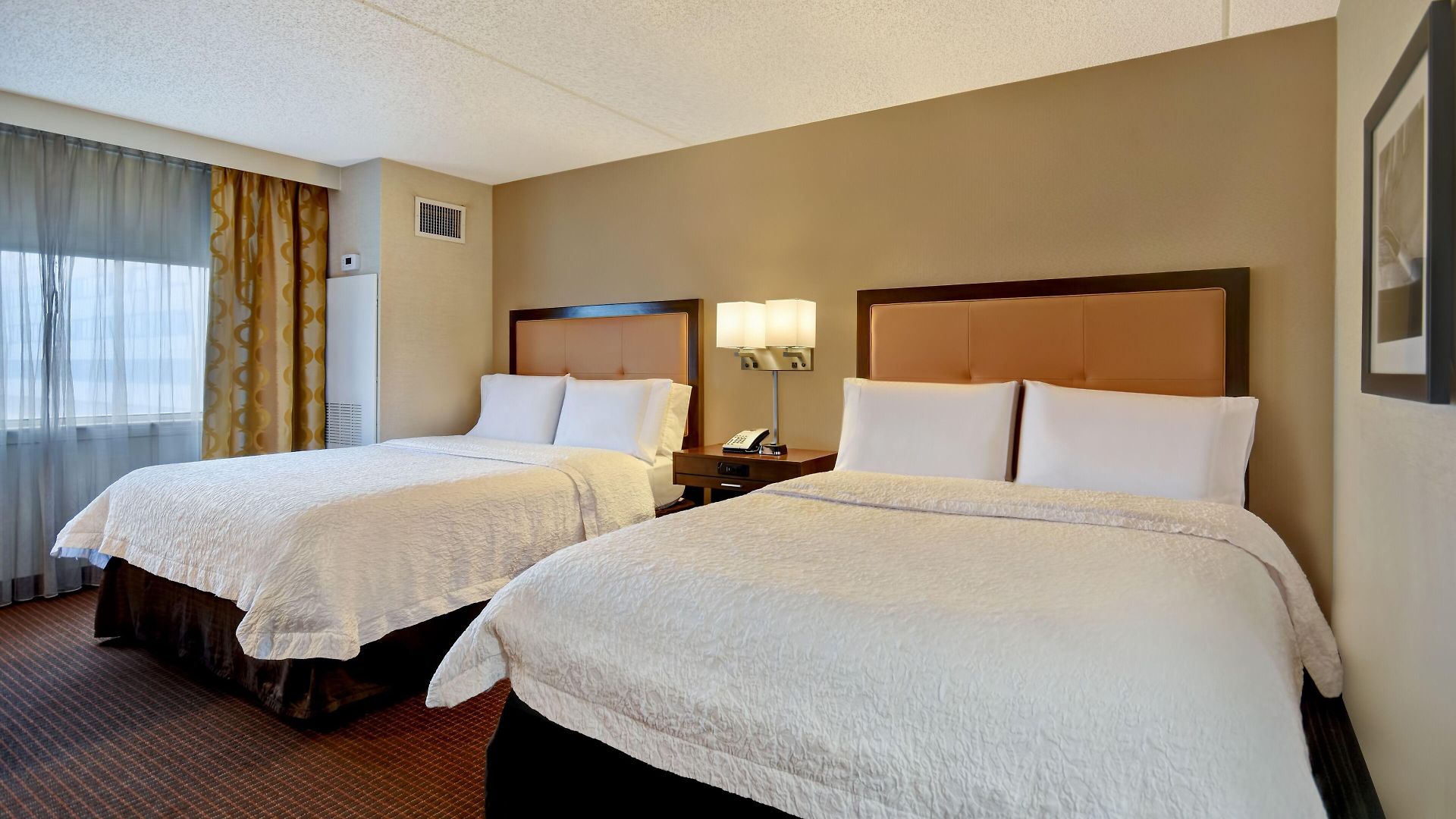 Hampton Ny-jfk Hotel New York