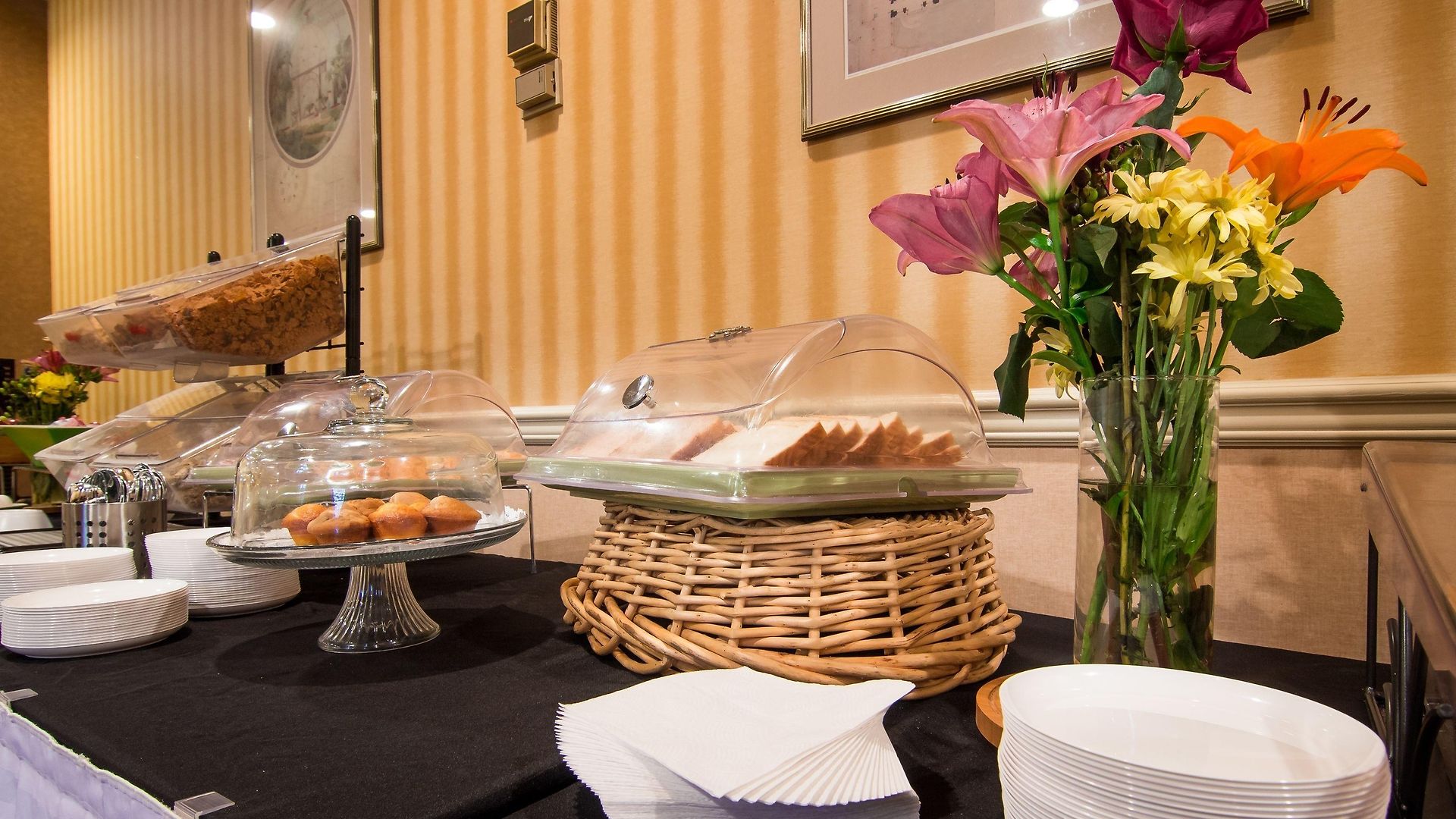 Hotel Adria And Conference Center New York