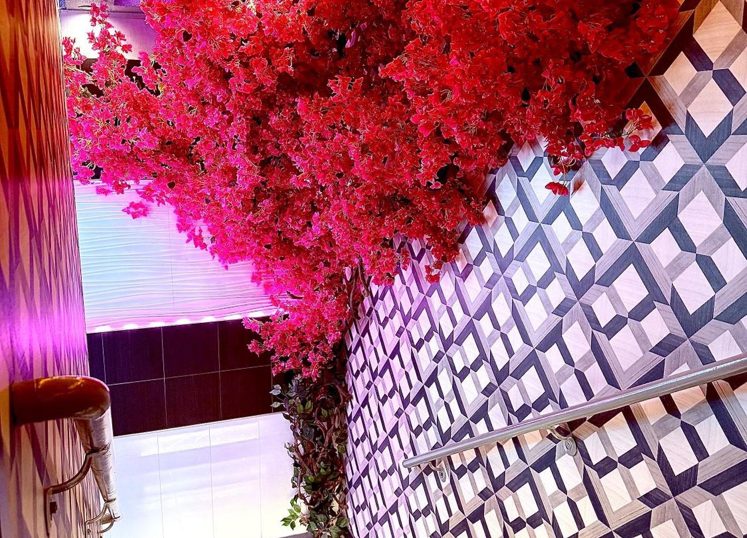 Hotel Umbrella Bronx *