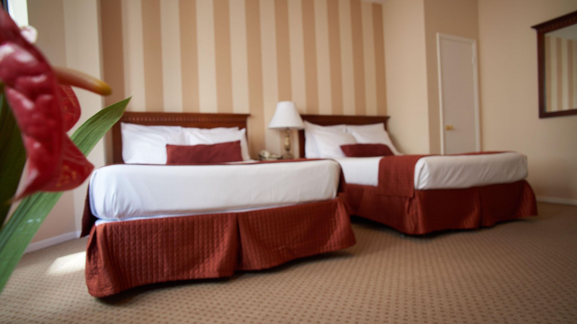 St. Hotel