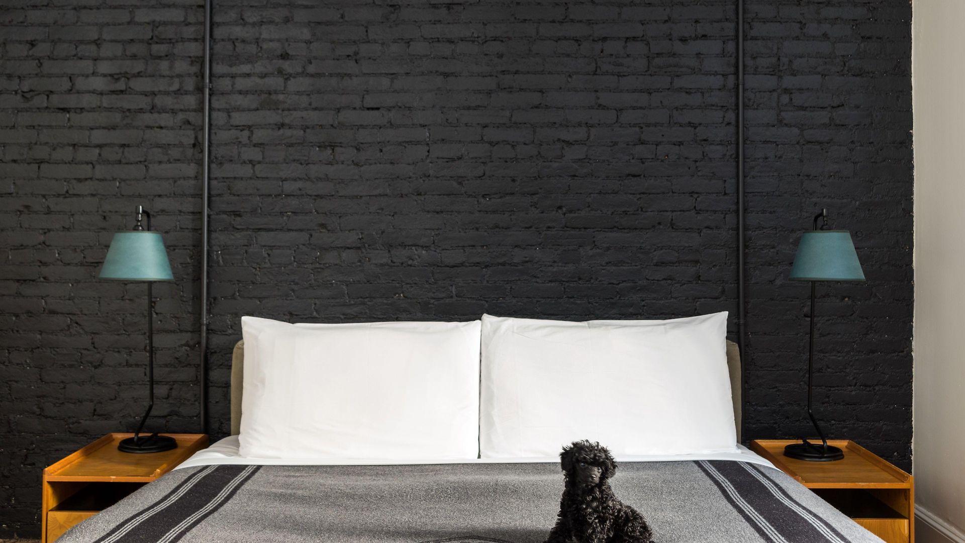 Ace Hotel 4*