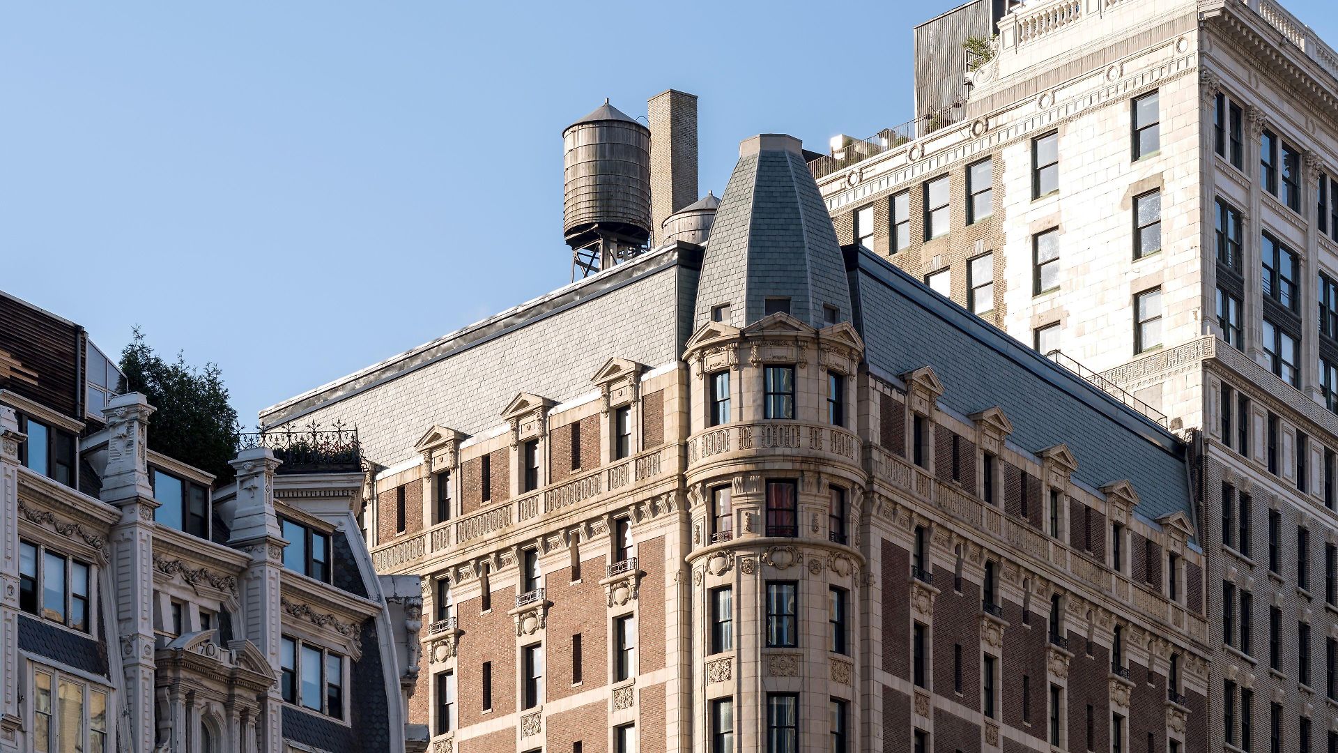 Ace New York