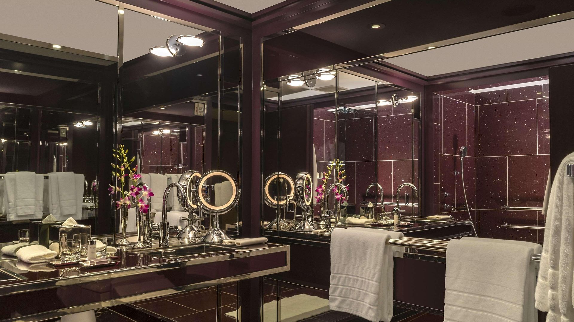 The Chatwal, The Unbound Collection By Hyatt New York