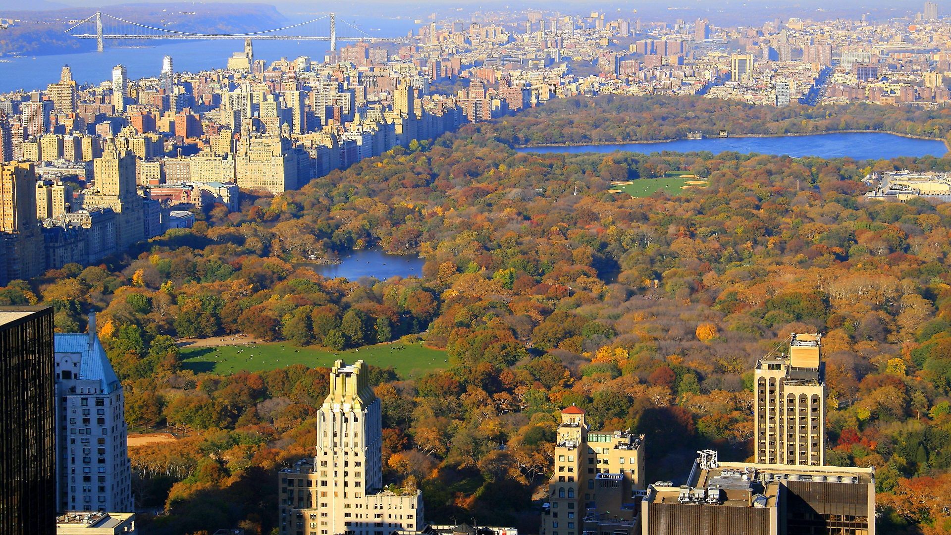 Hotel Hilton Garden West 35th Street New York