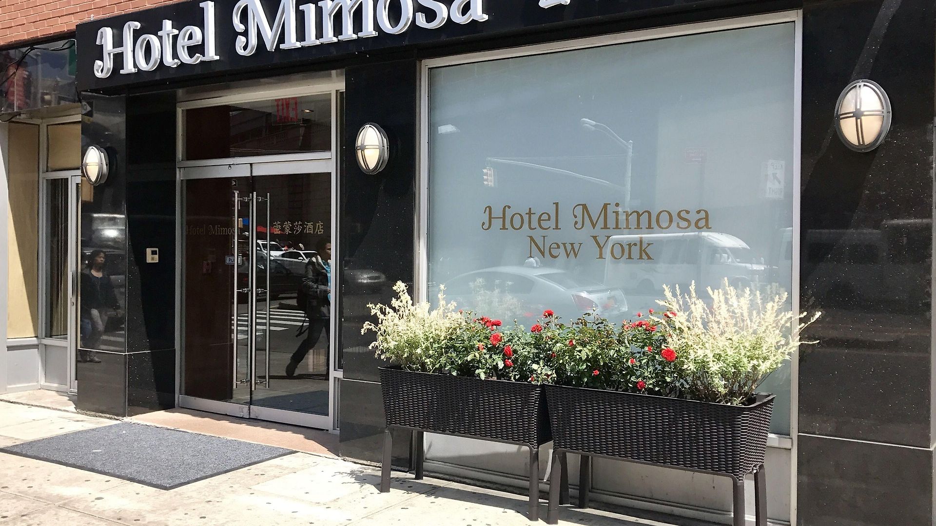 Mimosa Hotel