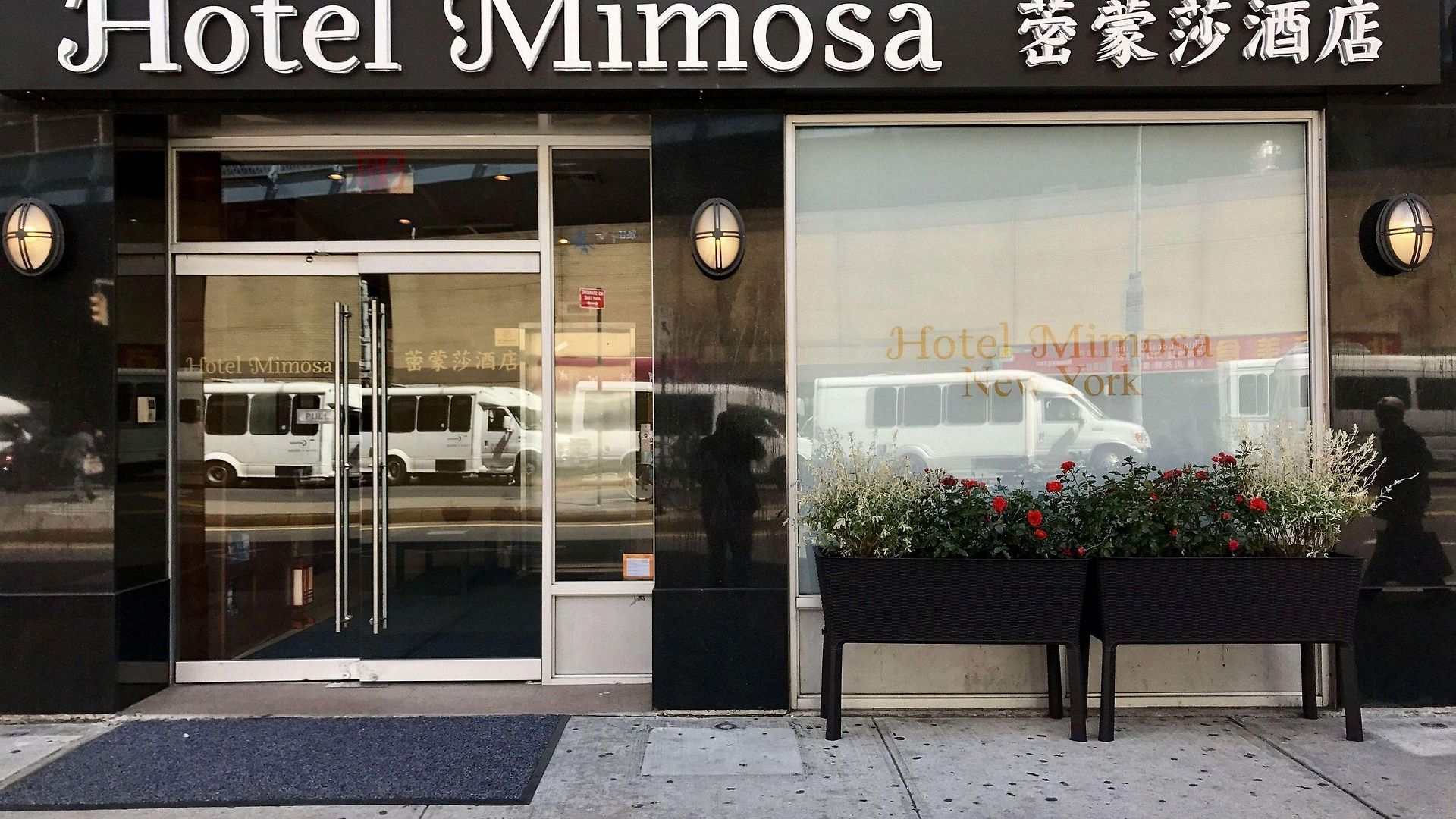 Mimosa Hotel New York