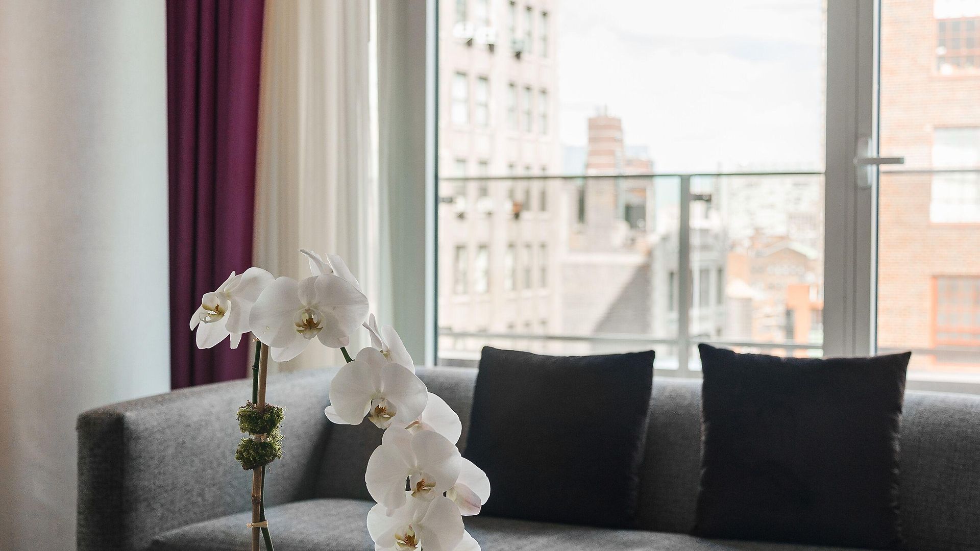 Royalton Park Avenue Hotel New York