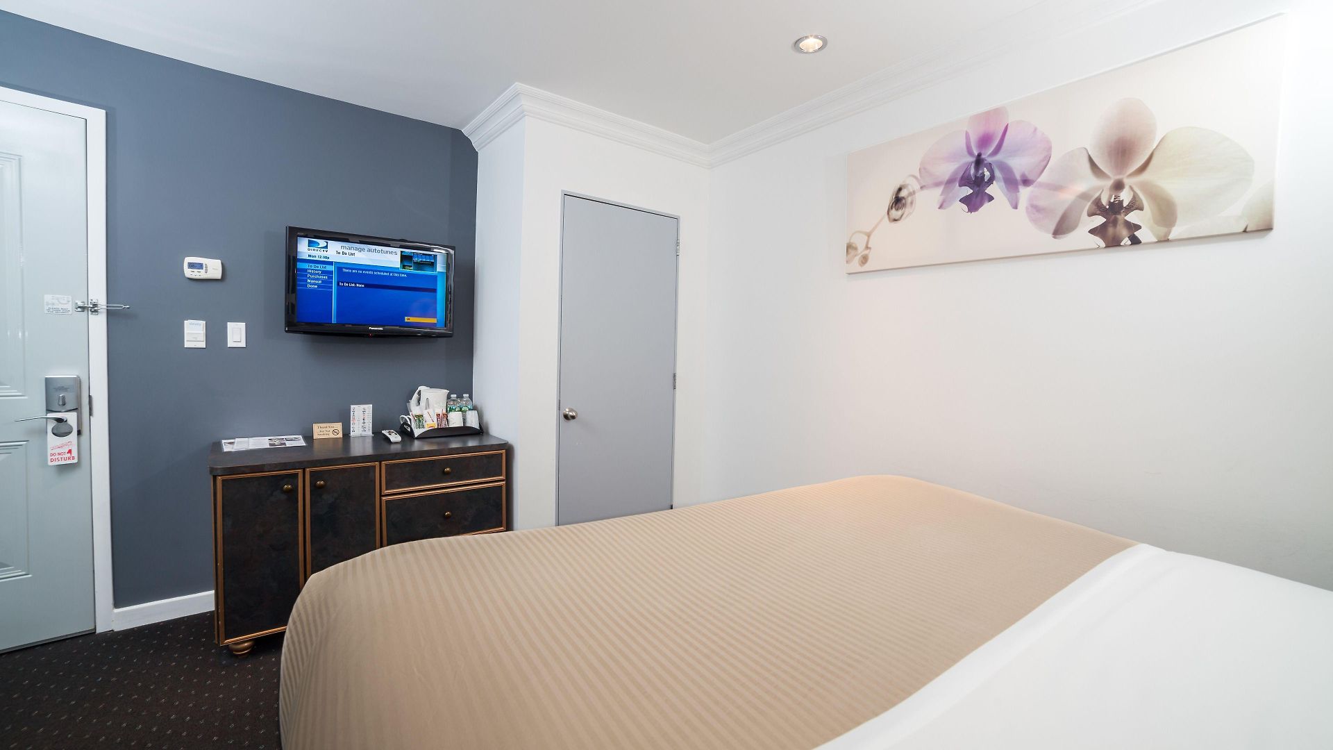 Hotel Mulberry