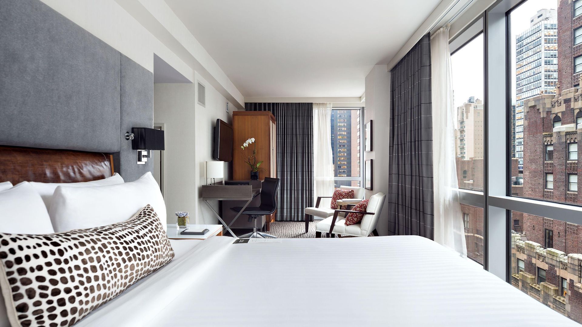 48lex New York