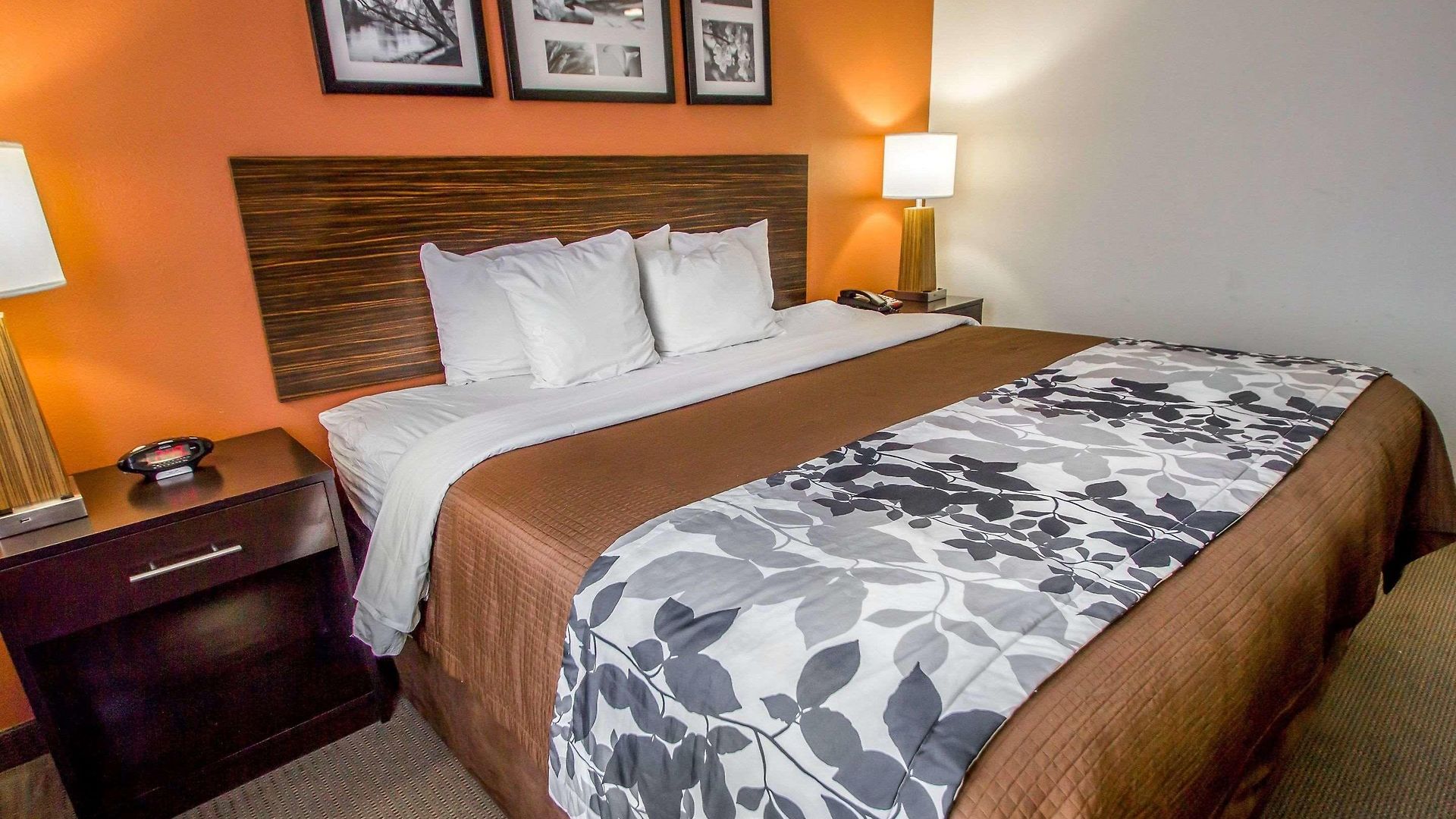 Inn Sleep Jfk Airport Rockaway Blvd 4*