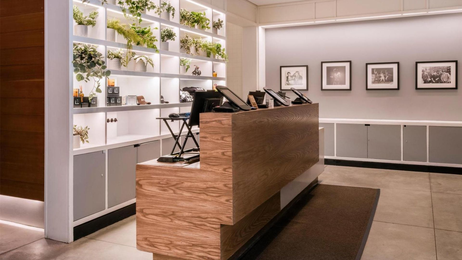 Arlo Soho 4*