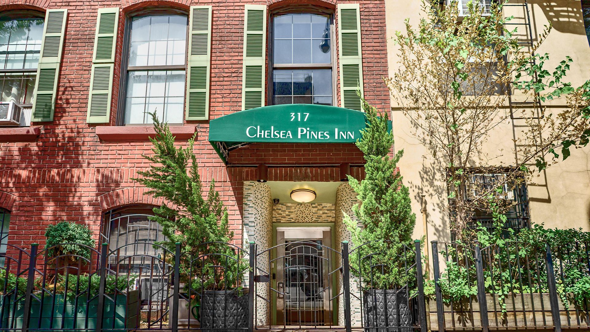 Chelsea Pines New York
