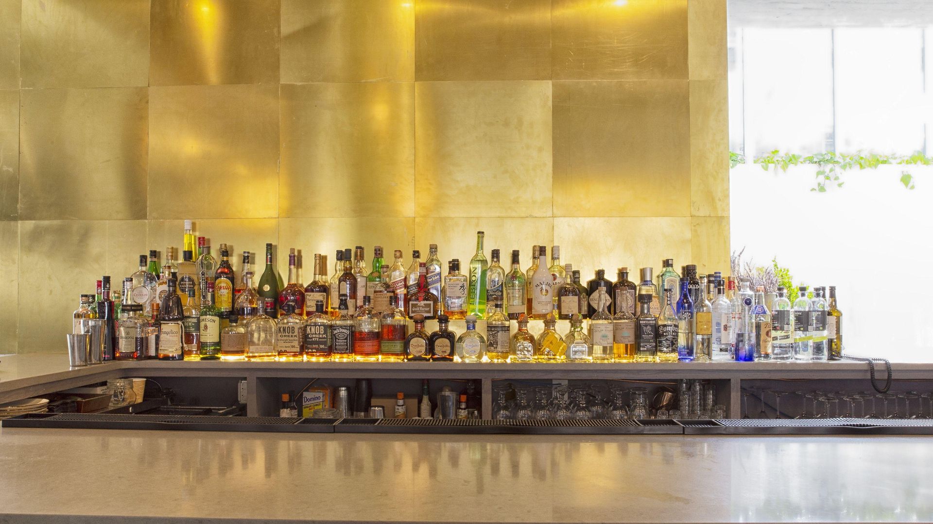 Brooklyn Downtown By Ihg New York