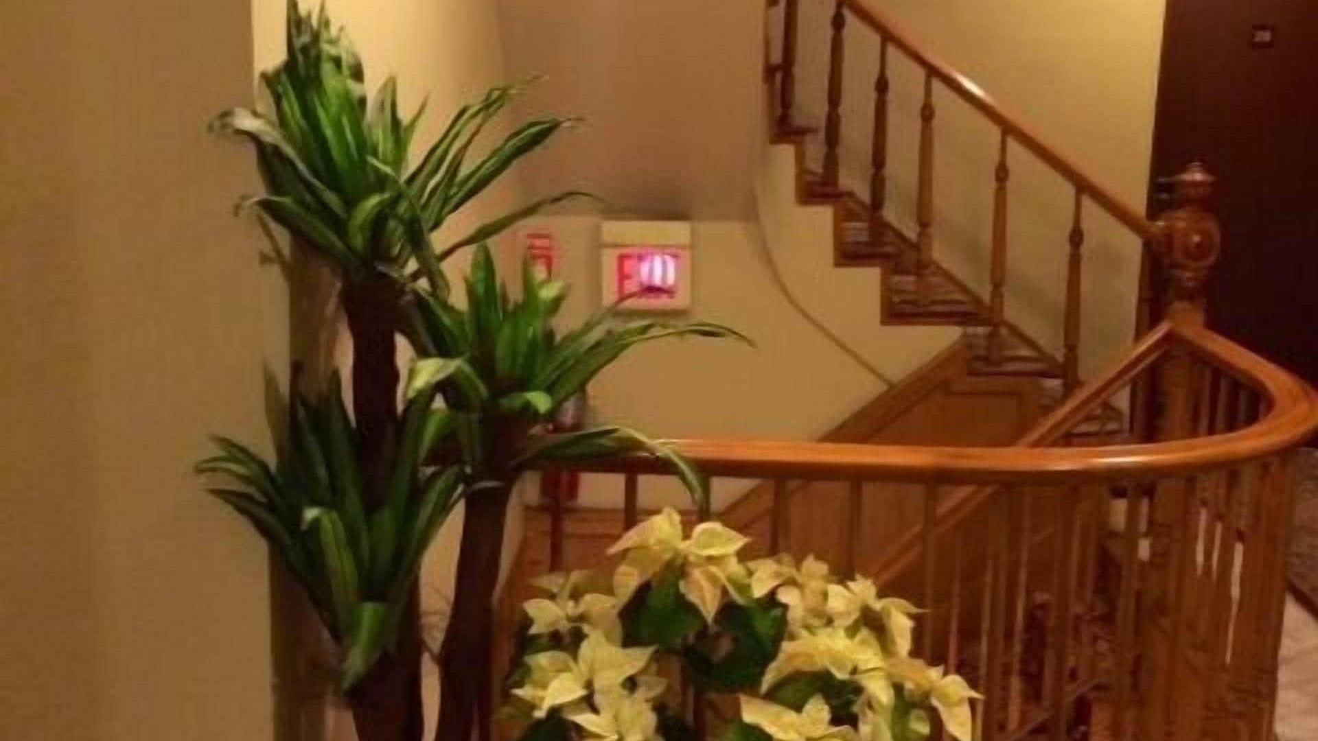 Hotel St Marks 2*