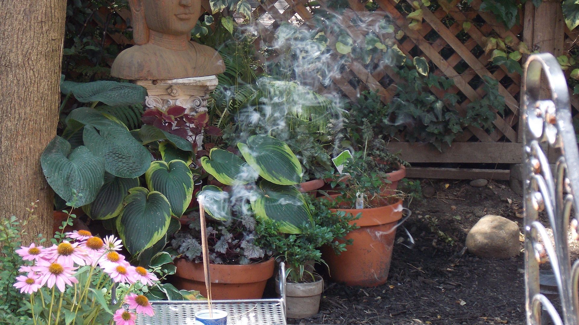 Serenity At