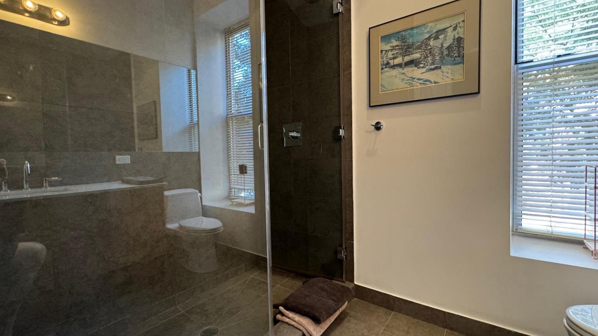 Large And Luxurious In Strivers Row New York