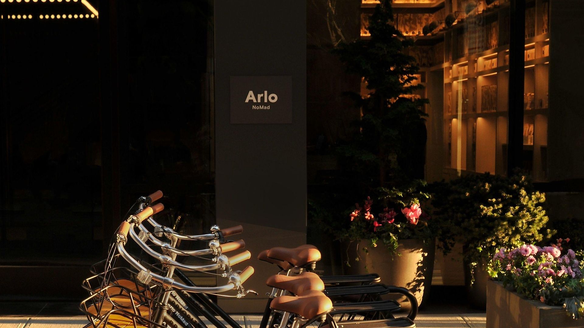 Arlo Nomad