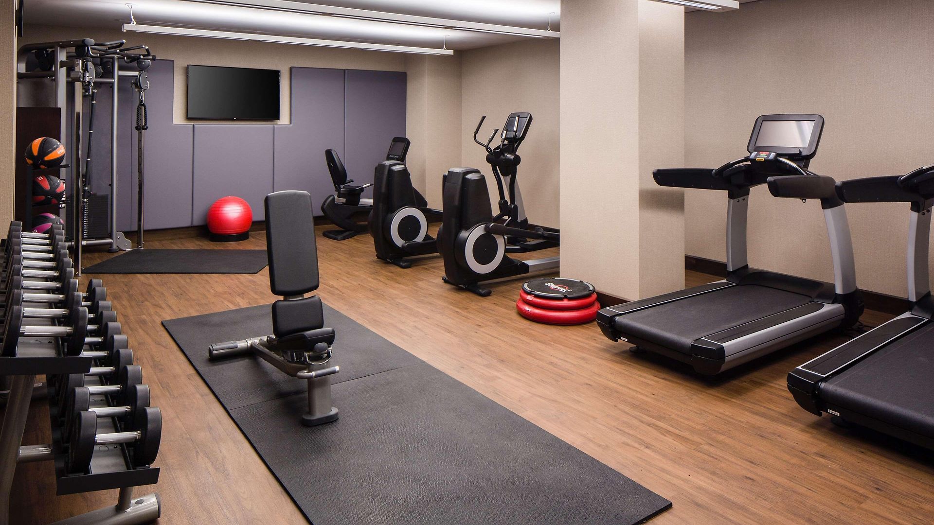 Hilton Brooklyn - Newly Renovated