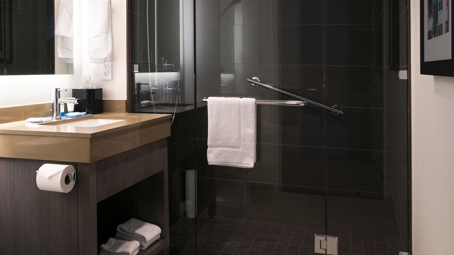 Hyatt House New York/chelsea 3* New York
