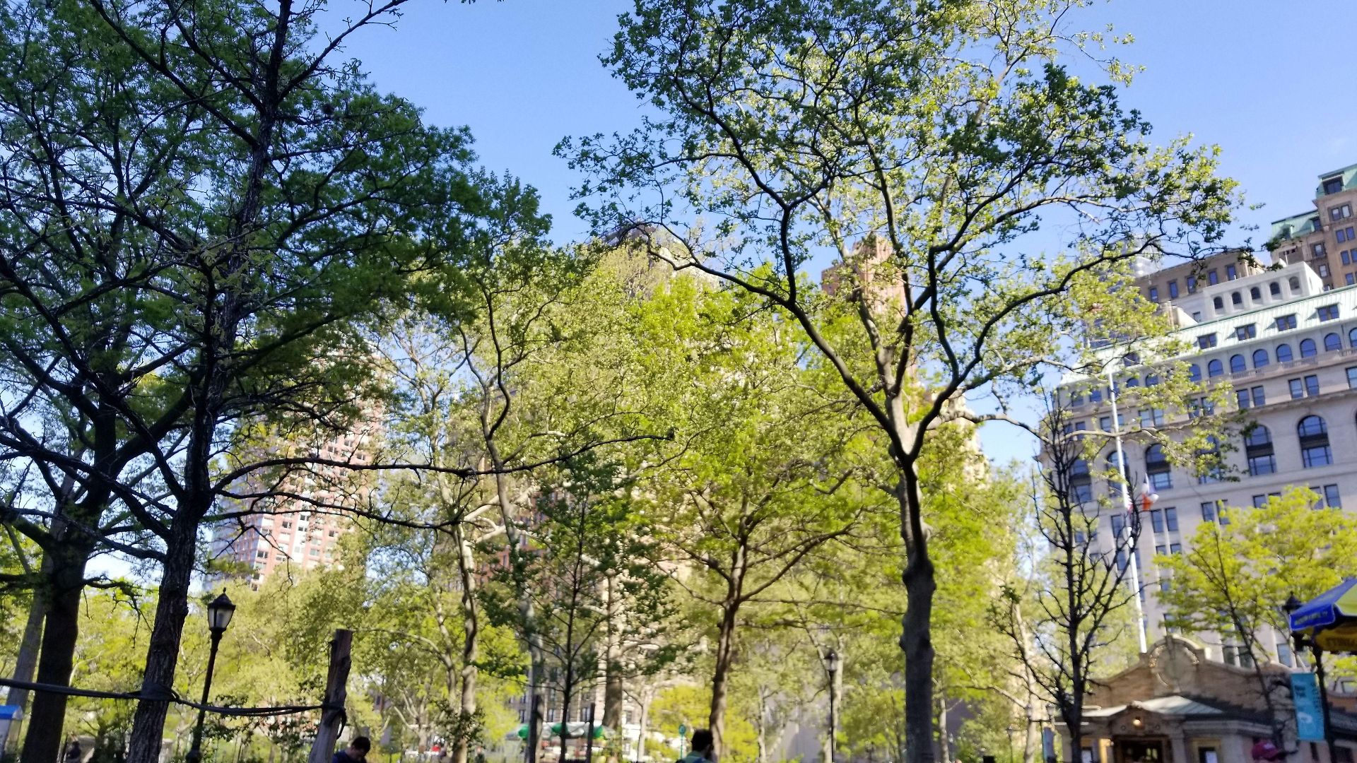 Hotel Hilton Garden Nyc Financial Center/manhattan Downtown