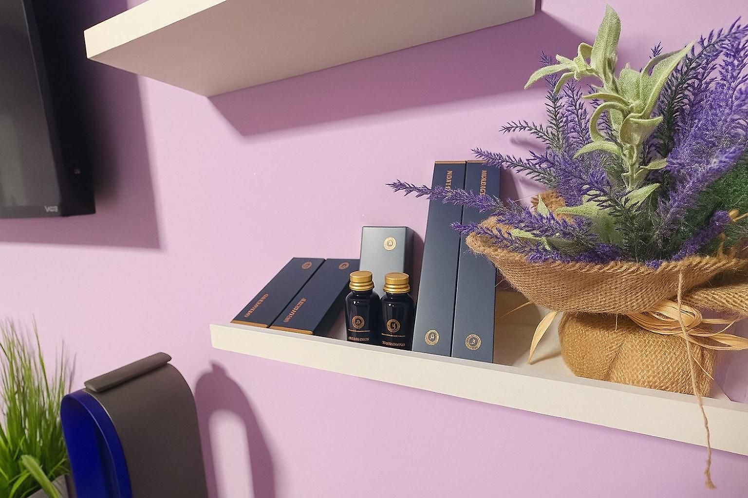 Lavender Style In Geusthouse Apartment