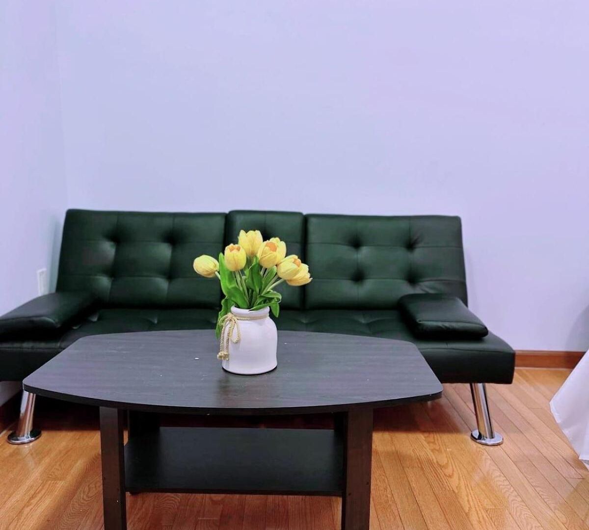 Apartment Amazing Private New York