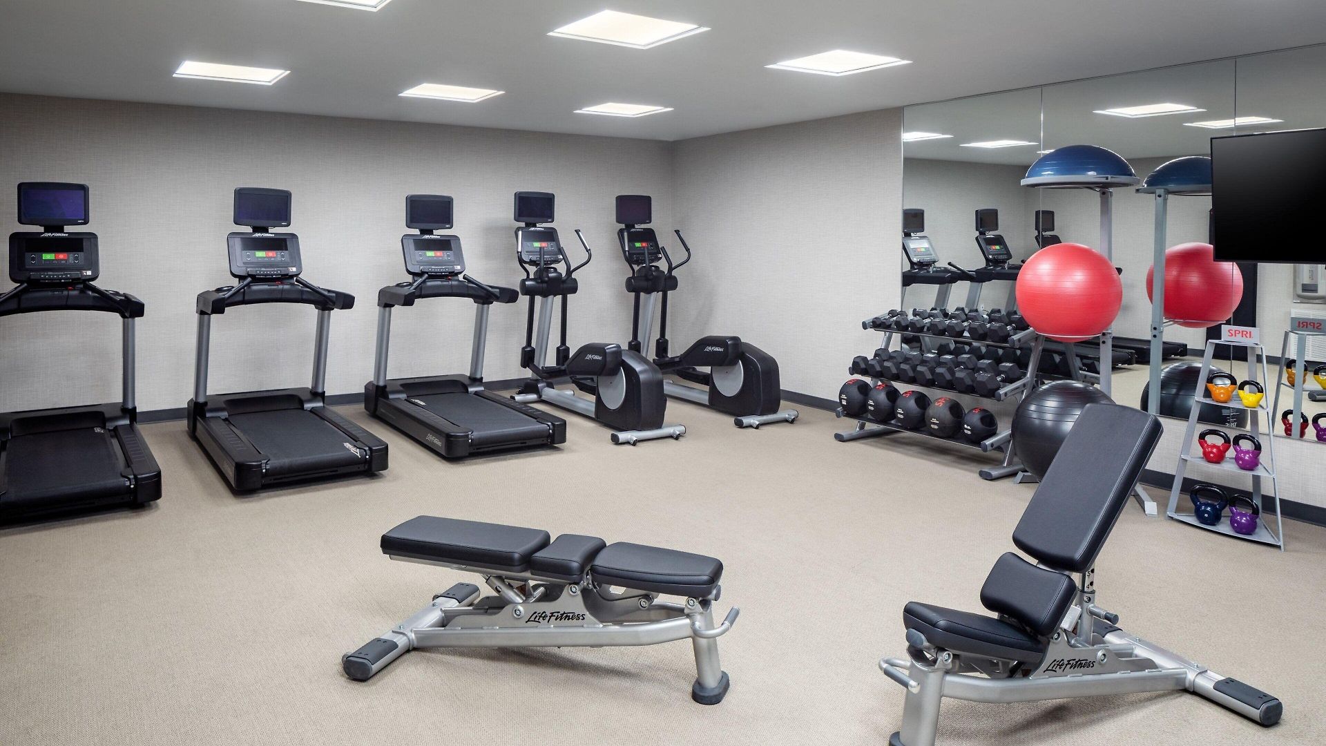 Springhill By Marriott Jfk Airport Jamaica Hotel New York