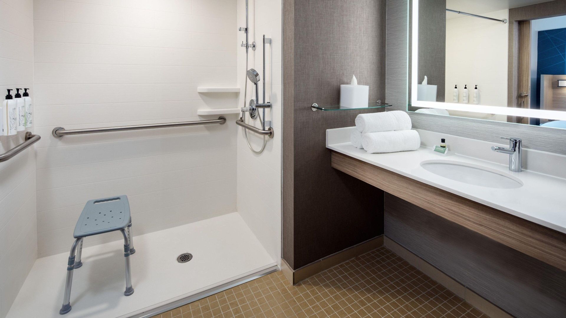Hotel Springhill By Marriott Jfk Airport Jamaica 2*