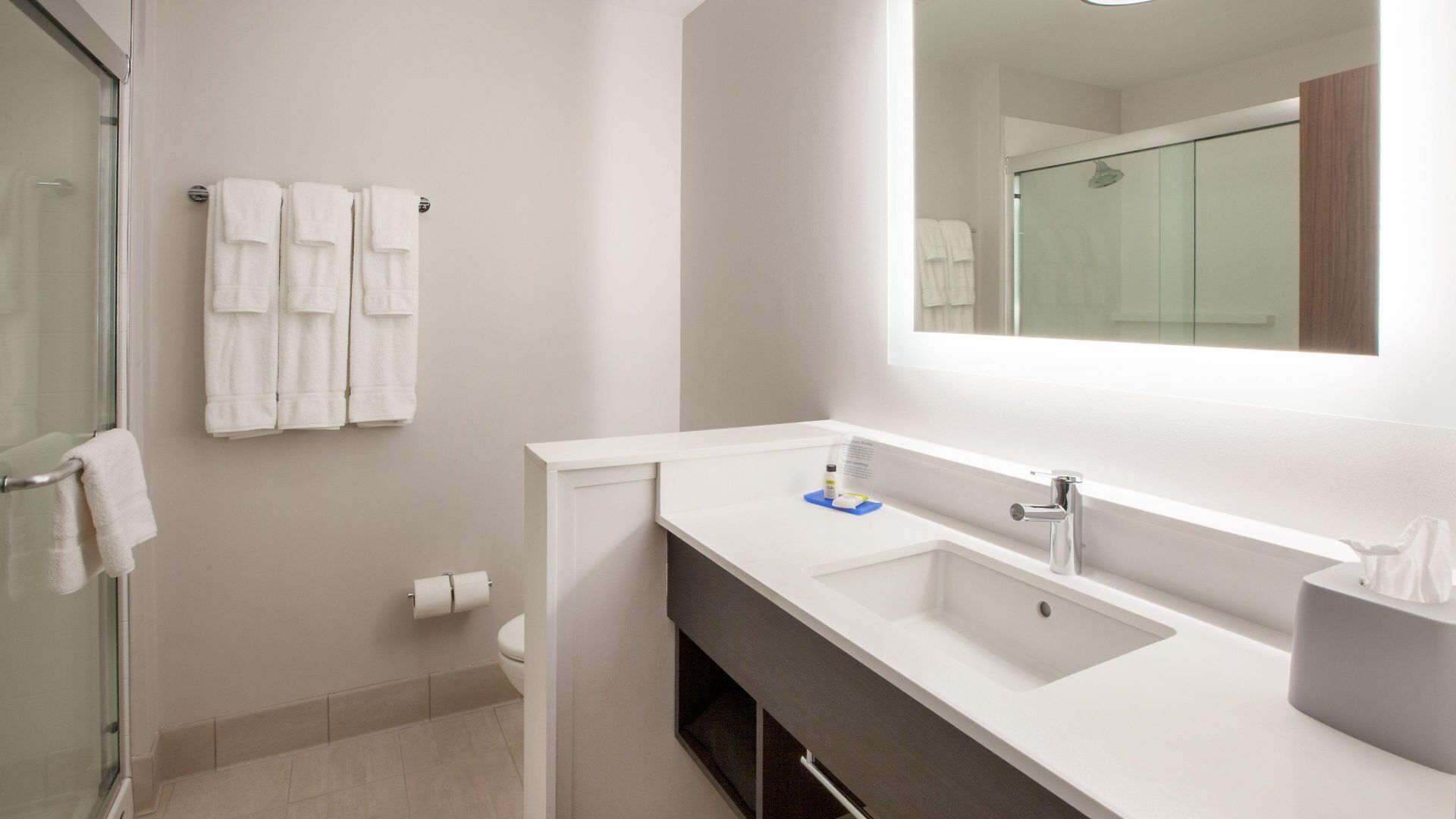 Express - Nyc Brooklyn - Sunset Park By Ihg 3* New York