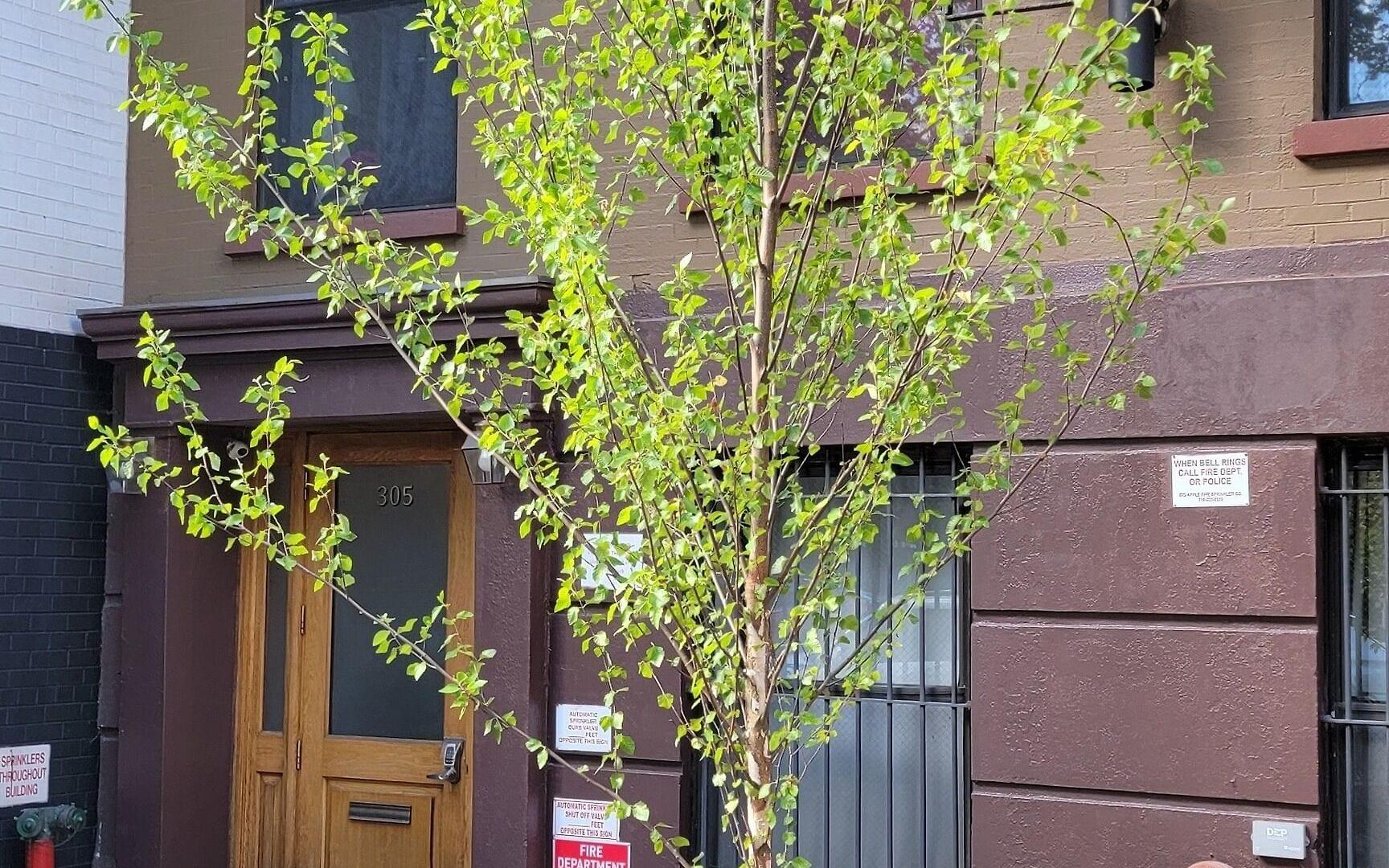 Lamartine Chelsea Hostel